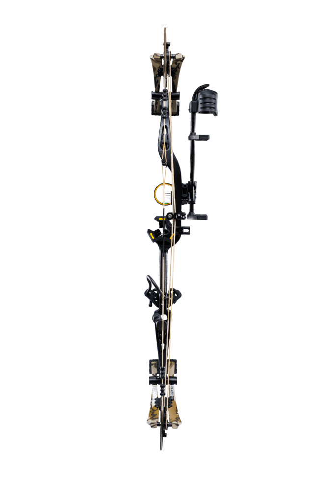 Back view of Bear Archery Whitetail INT RTH compound bow showcasing its 31" axel length.