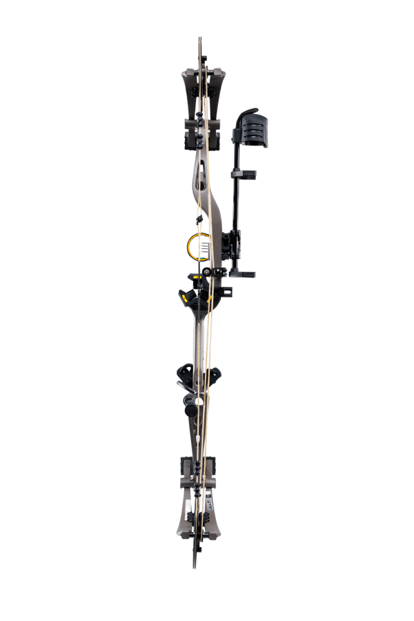 Back view of Bear Archery Whitetail INT RTH compound bow showcasing its 31" axel length.
