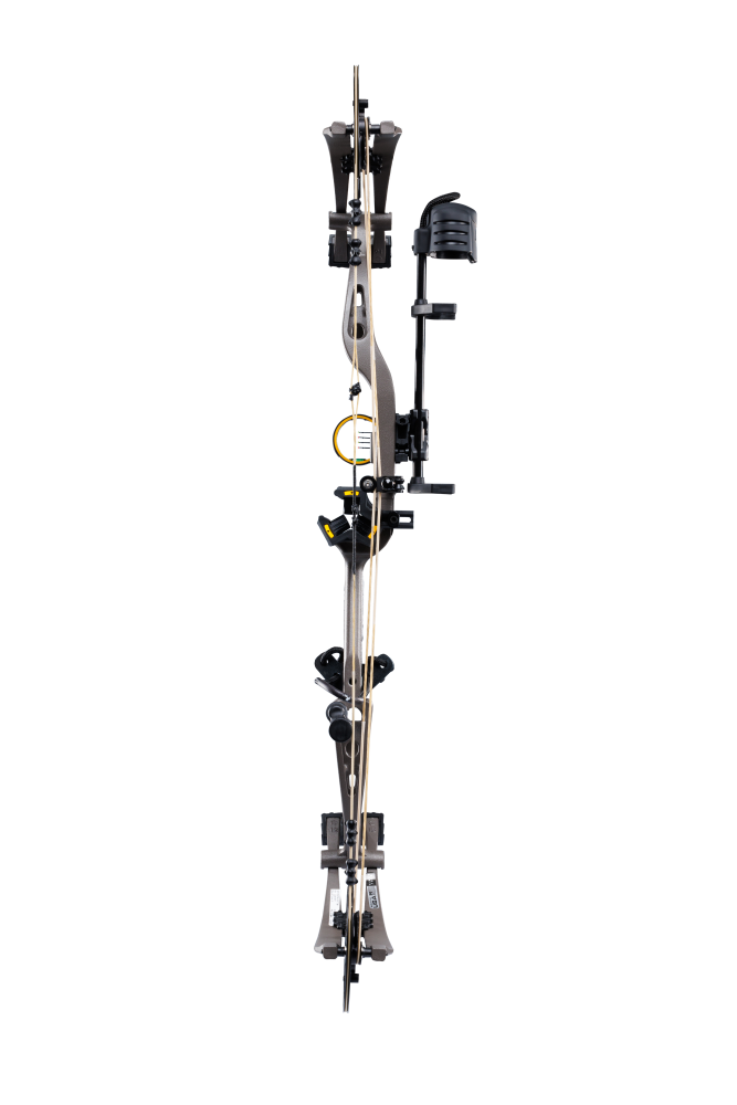 Back view of Bear Archery Whitetail INT RTH compound bow showcasing its 31" axel length.
