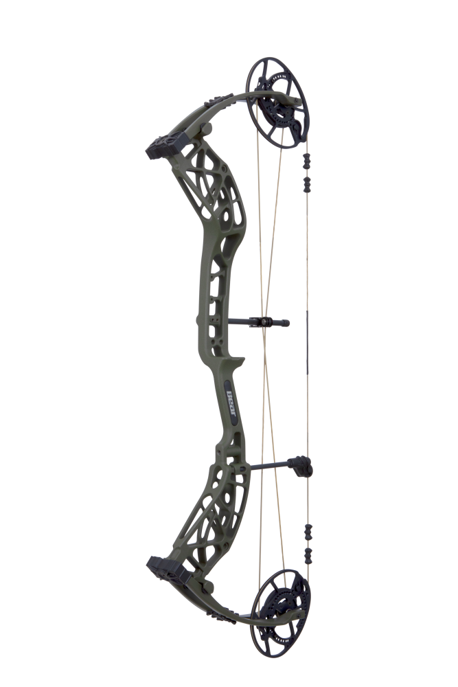 Bear Archery Whitetail Maxx Compound Bow - 2024 Budget Compound Bow