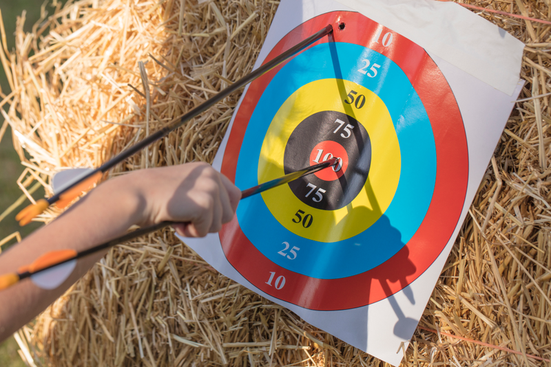 Archery target arrows for sale deals