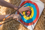 Bear Archery Youth Safetyglass Arrows with Nock and Points Installed and Pre-Fletched Vanes (3 Per Card) – 28"_7