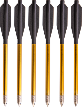 Bear X Desire Mini Crossbow Bolts - 12 Pack_1