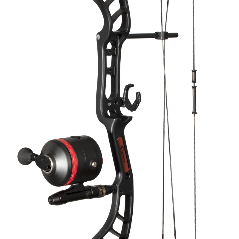 Bear Archery Compound Bow Review: Precision Unleashed