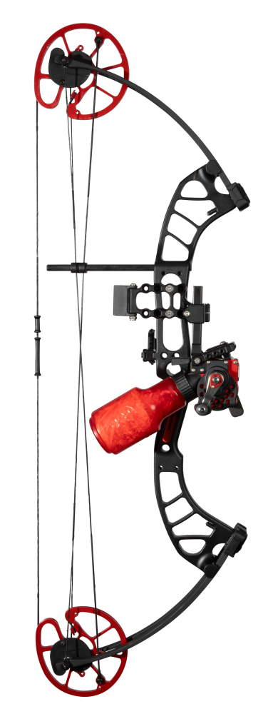 https://www.beararchery.com/cdn/shop/files/cajun-bowfishing-shore-runner-evw-bowfishing-bow_bowfishingbow__abf23b1205r_3_800x.png?v=1709752577