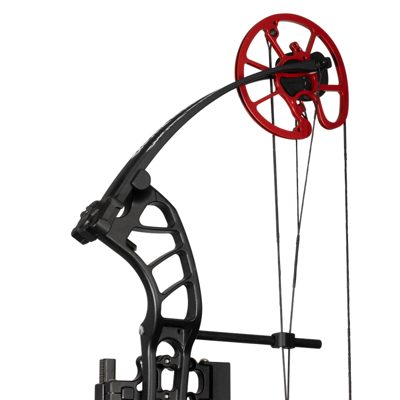 Cajun Bowfishing Shore Runner EVW Bowfishing Bow - Bowfishing Setup