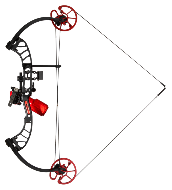 Cajun Shore Runner EVW_9