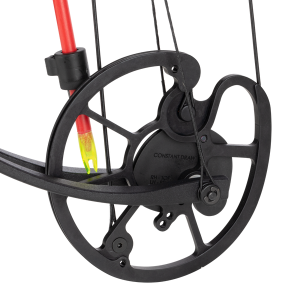 Cajun Bowfishing Sucker Punch Pro Ready to Fish Bowfishing Bow Kit - Cajun Bowfishing Bow 