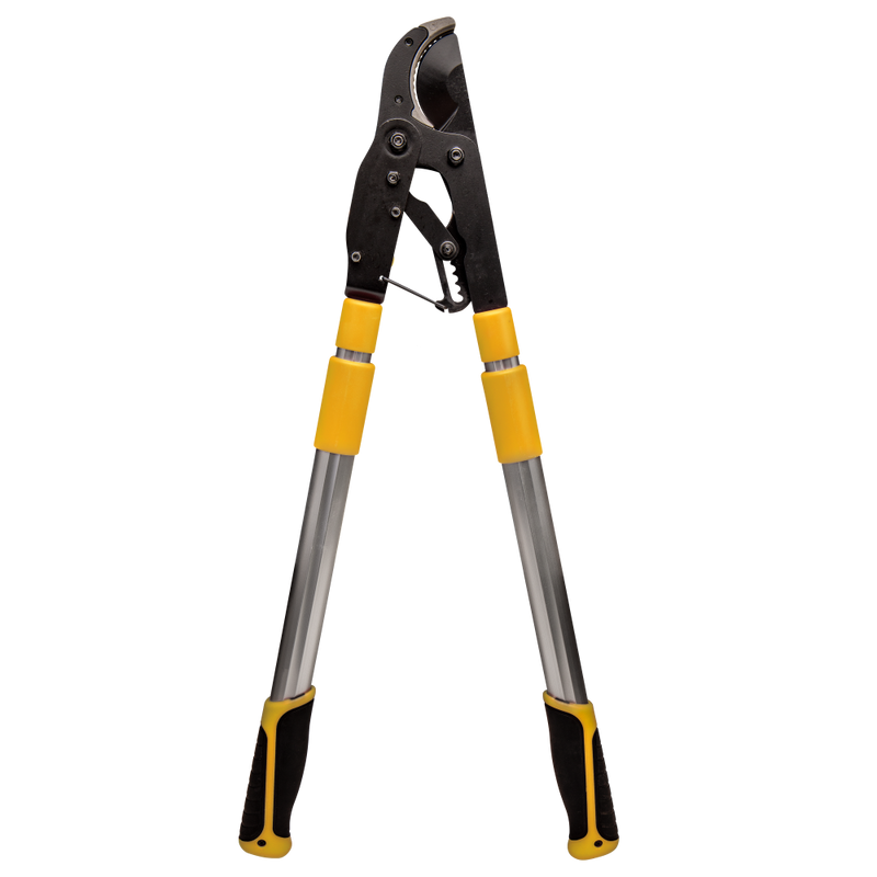 Ratchet branch loppers hotsell