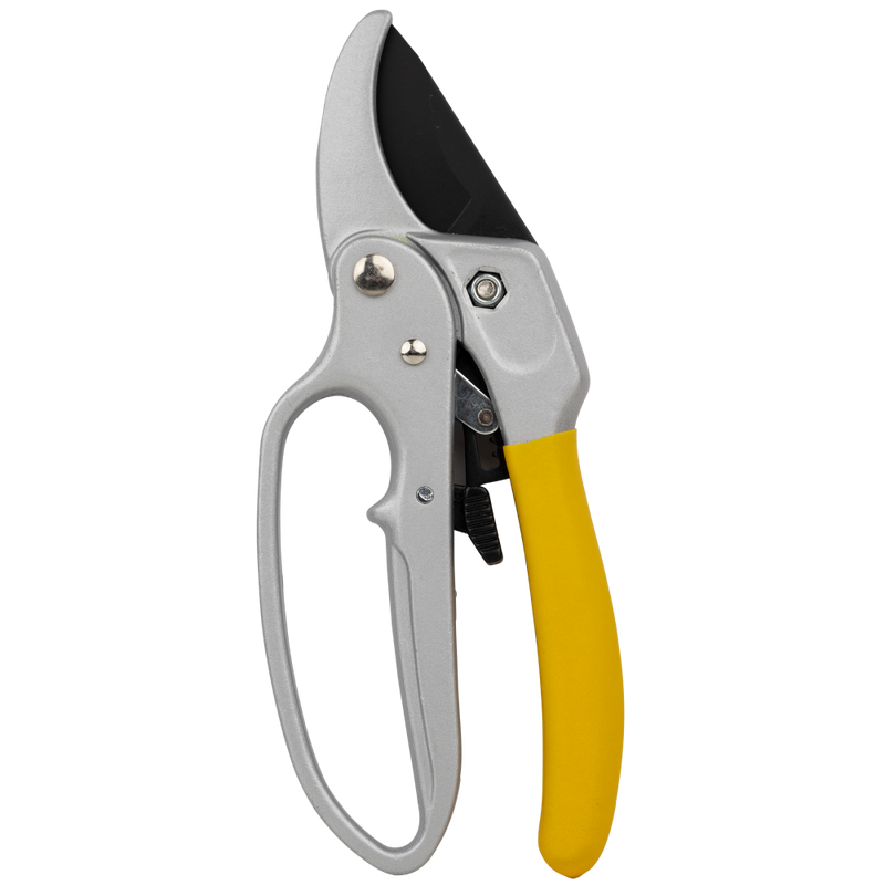 Ratcheting Pruner