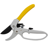 Ratcheting Pruner