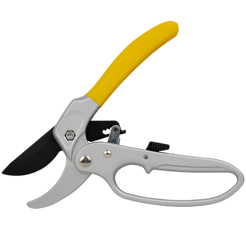 Ratcheting Pruner