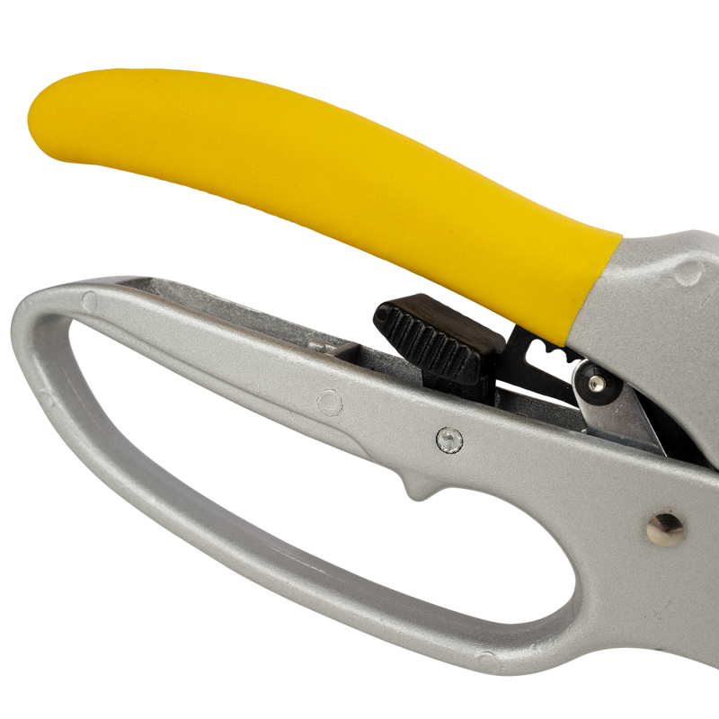 Ratcheting Pruner