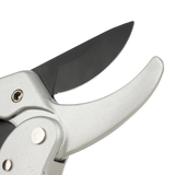 Ratcheting Pruner