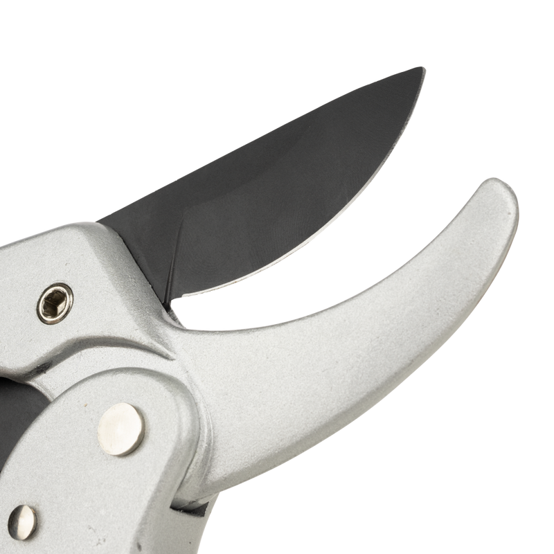 Ratcheting Pruner