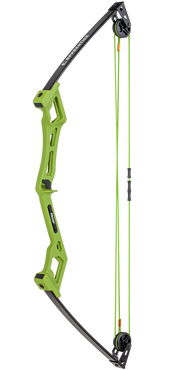 Bear Archery Apprentice Bow Set Youth Archery Bow Set - Bear Apprentice Bow