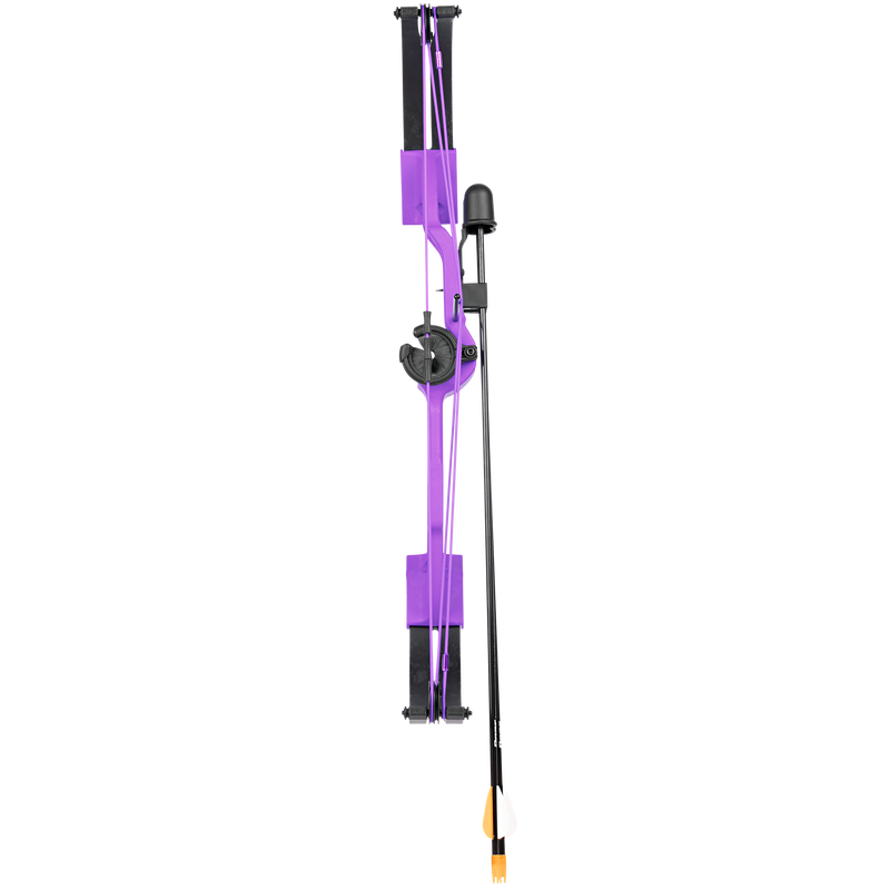 Bear Brave with Biscuit - Purple Compound Bow - Youth_9