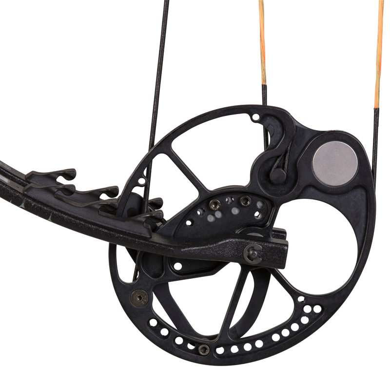 Bear Species RTH Compound Bow - Adult_9