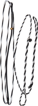 Bear Archery Take Down Bow String