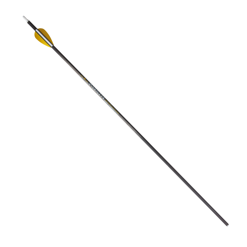 Archery arrows discount